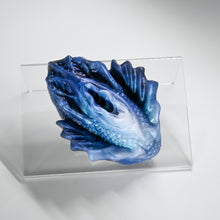 Load image into Gallery viewer, C2XHR95 Calypso Small 0020 CS
