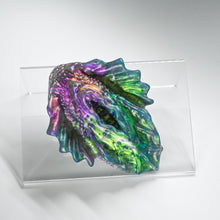 Load image into Gallery viewer, C2THR96 Calypso Small NC 0031 CS
