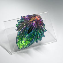 Load image into Gallery viewer, C2THR96 Calypso Small NC 0031 CS
