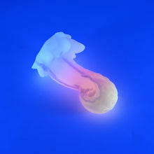 Load image into Gallery viewer, 72SJT08 Terra Small 0030 UV GITD CS
