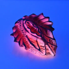 Load image into Gallery viewer, C2SDN76 Calypso Small 0030 UV GITD
