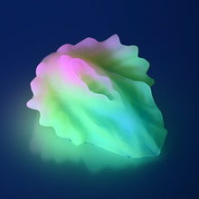 Load image into Gallery viewer, C2SDN80 Calypso Small 0020 UV GITD *FLOP*
