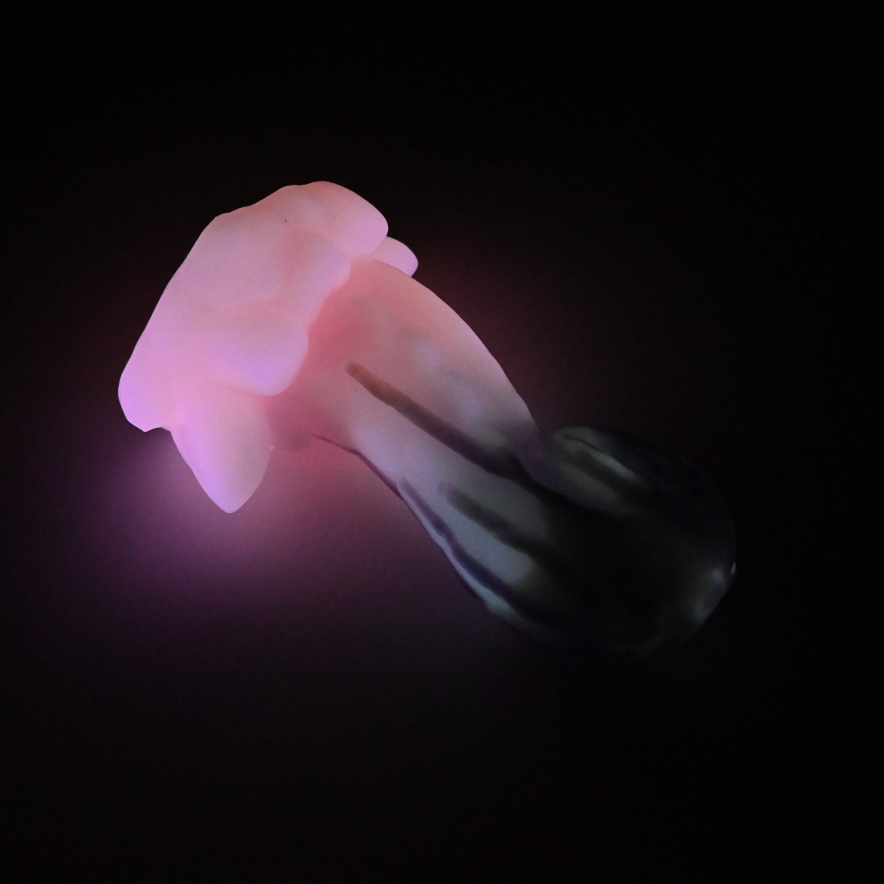 73XJT15 Terra Medium 0020 UV GITD CS