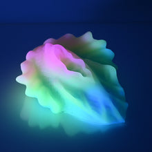 Load image into Gallery viewer, C4SDN88 Calypso Large 0030 UV GITD
