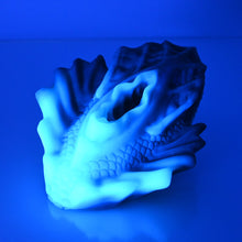 Load image into Gallery viewer, C4SDN87 Calypso Large 0030 UV CS
