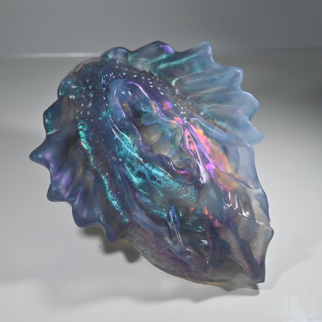 C4TDN82 Calypso Large NC 0031 CS