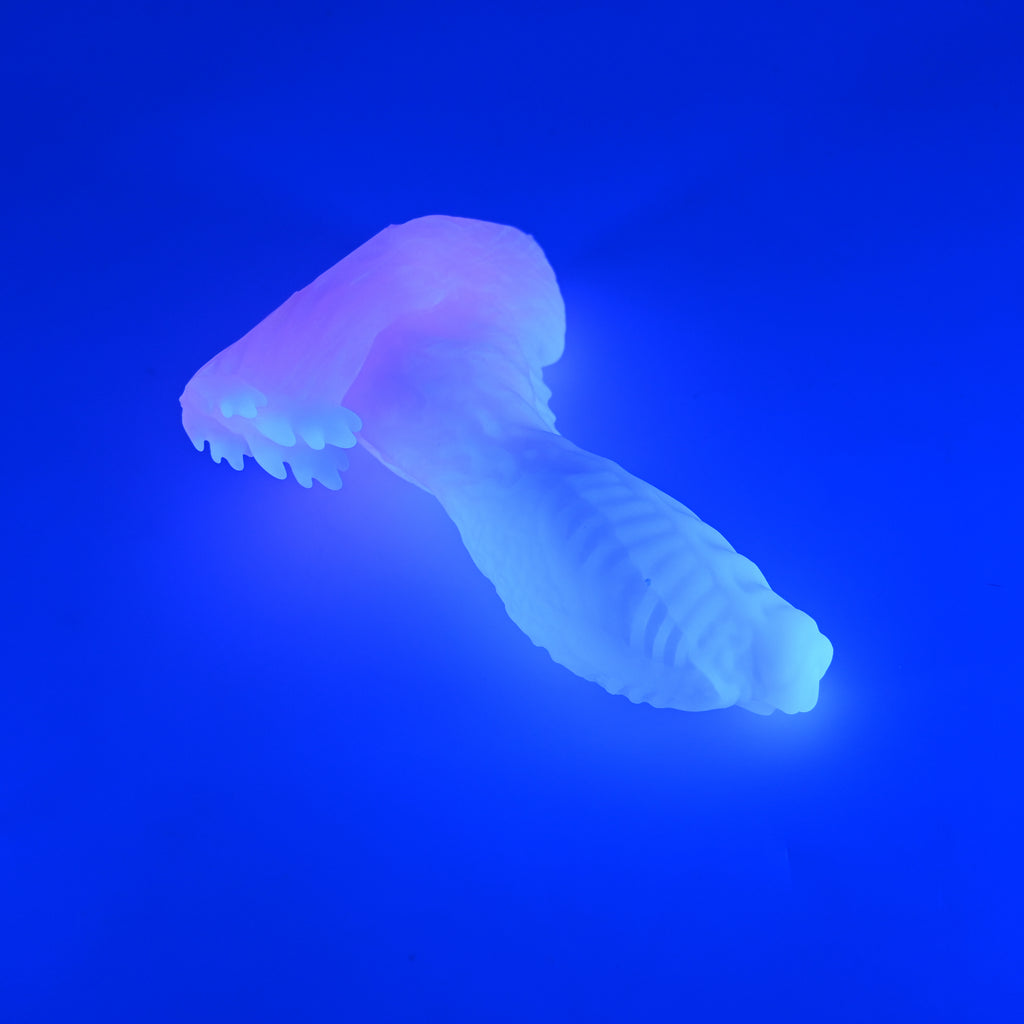 X2XJU42 Shin Small 0020 UV GITD