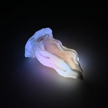 Load image into Gallery viewer, A2SJT39 Alara Small 0030 UV GITD CS
