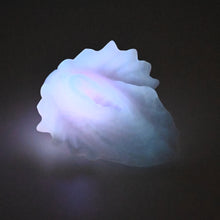 Load image into Gallery viewer, C2SFQ59 Calypso Small 0030 UV GITD
