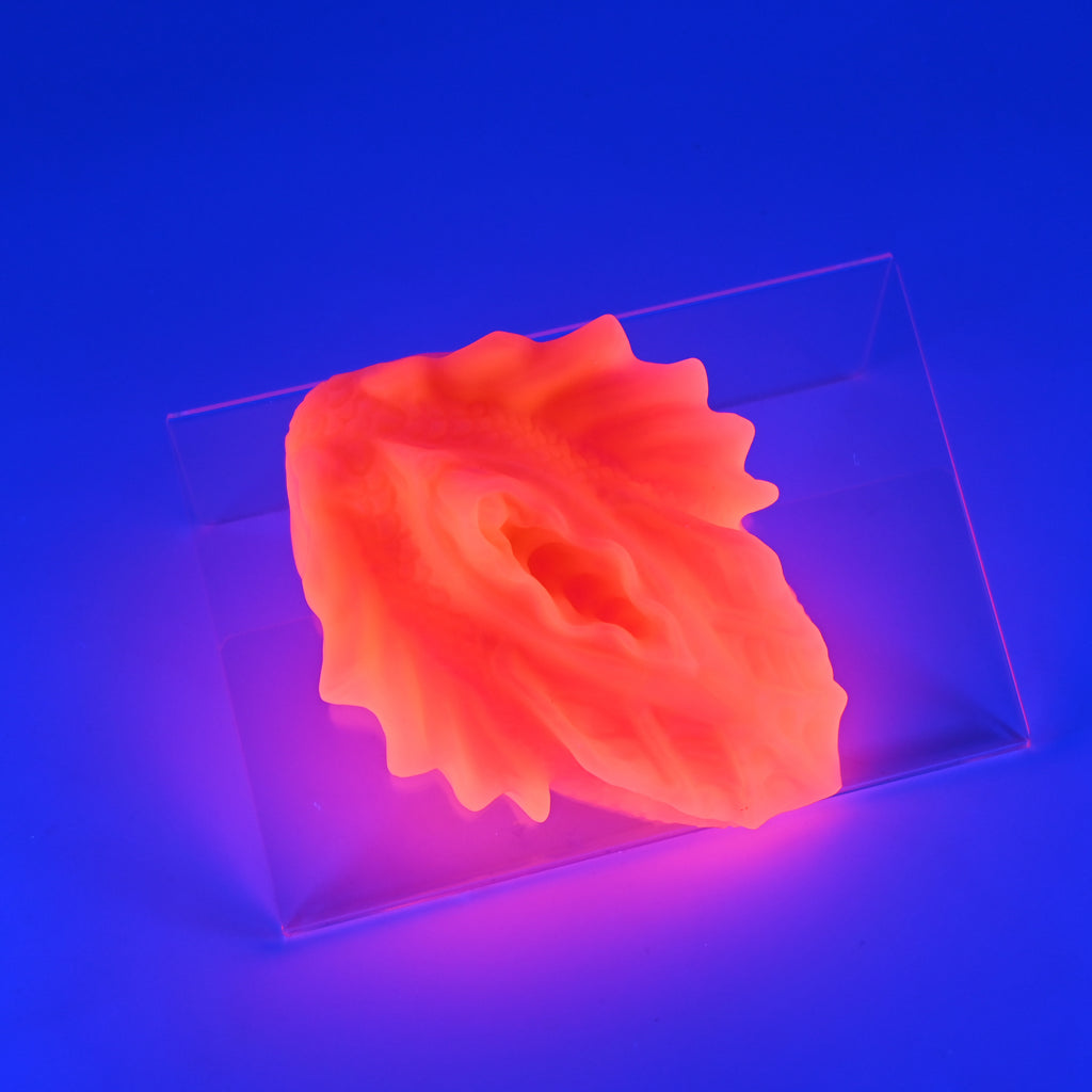 C2SJV37 Calypso Small 0030 UV