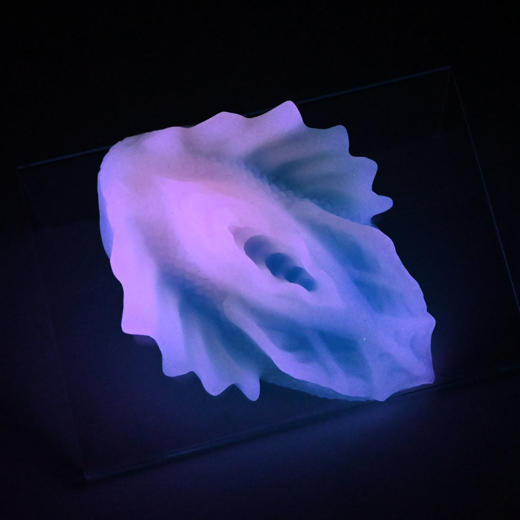 C2SJV38 Calypso Small 0030 UV GITD