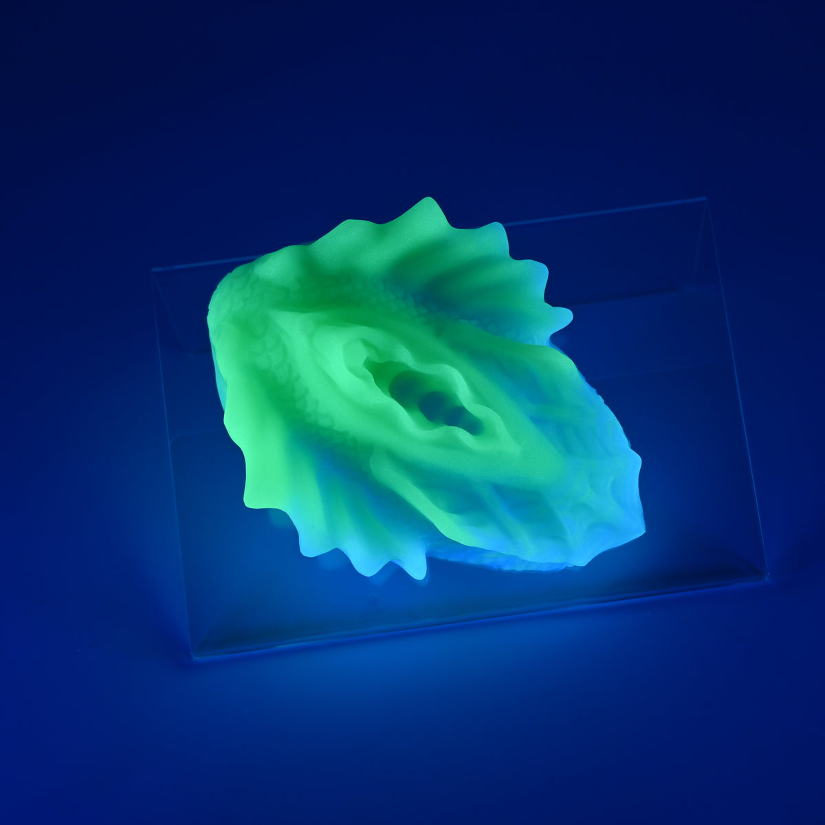 C2MJV39 Calypso Small 0050 UV GITD