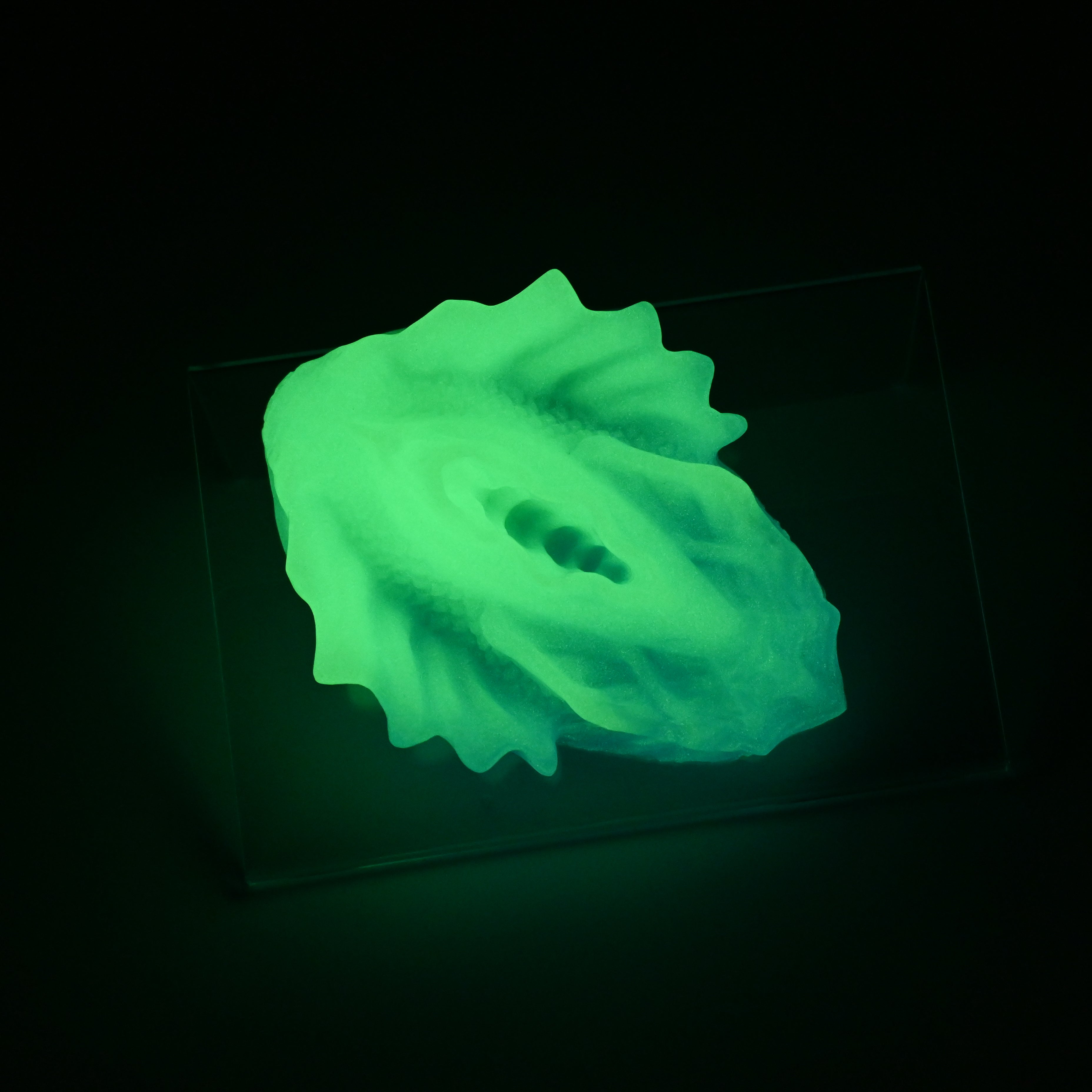 C2MJV39 Calypso Small 0050 UV GITD