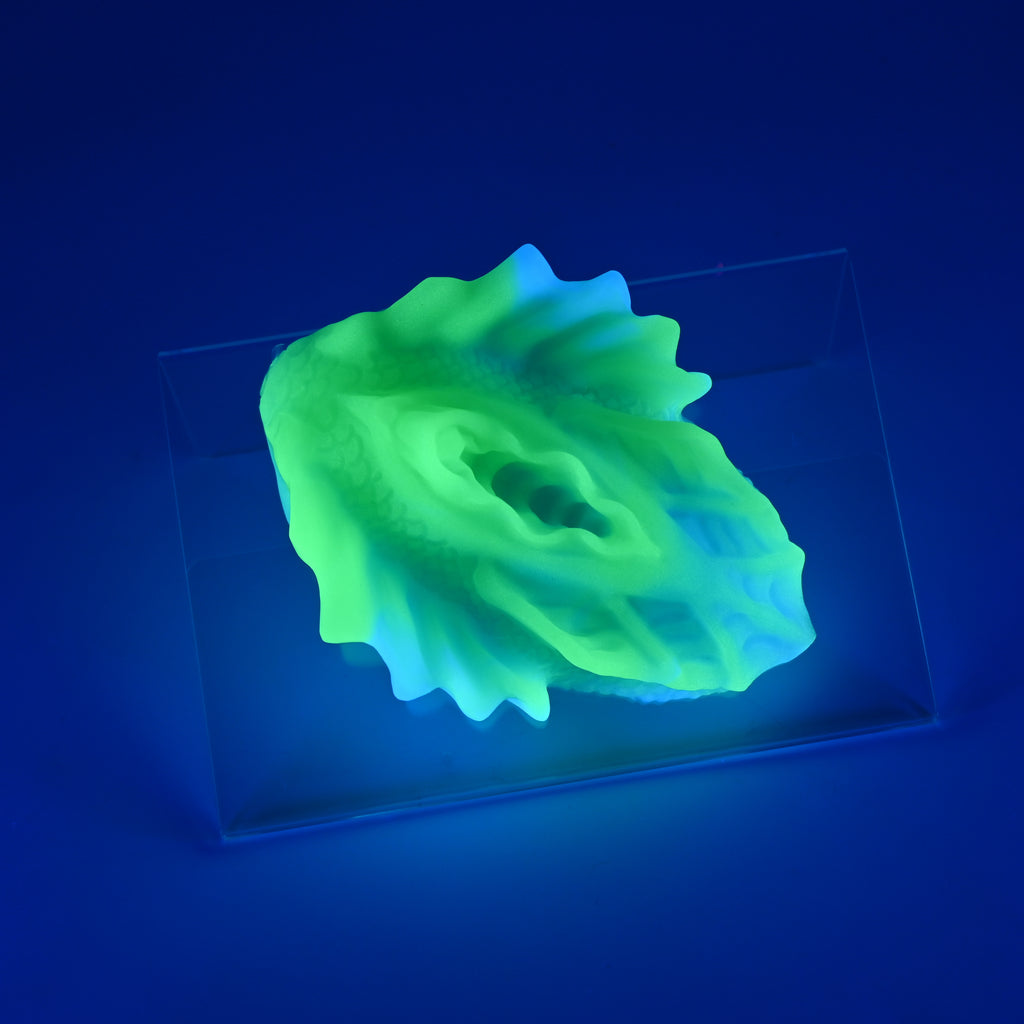 C2XJV40 Calypso Small 0020 UV GITD