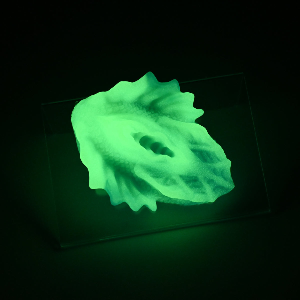C2XJV40 Calypso Small 0020 UV GITD