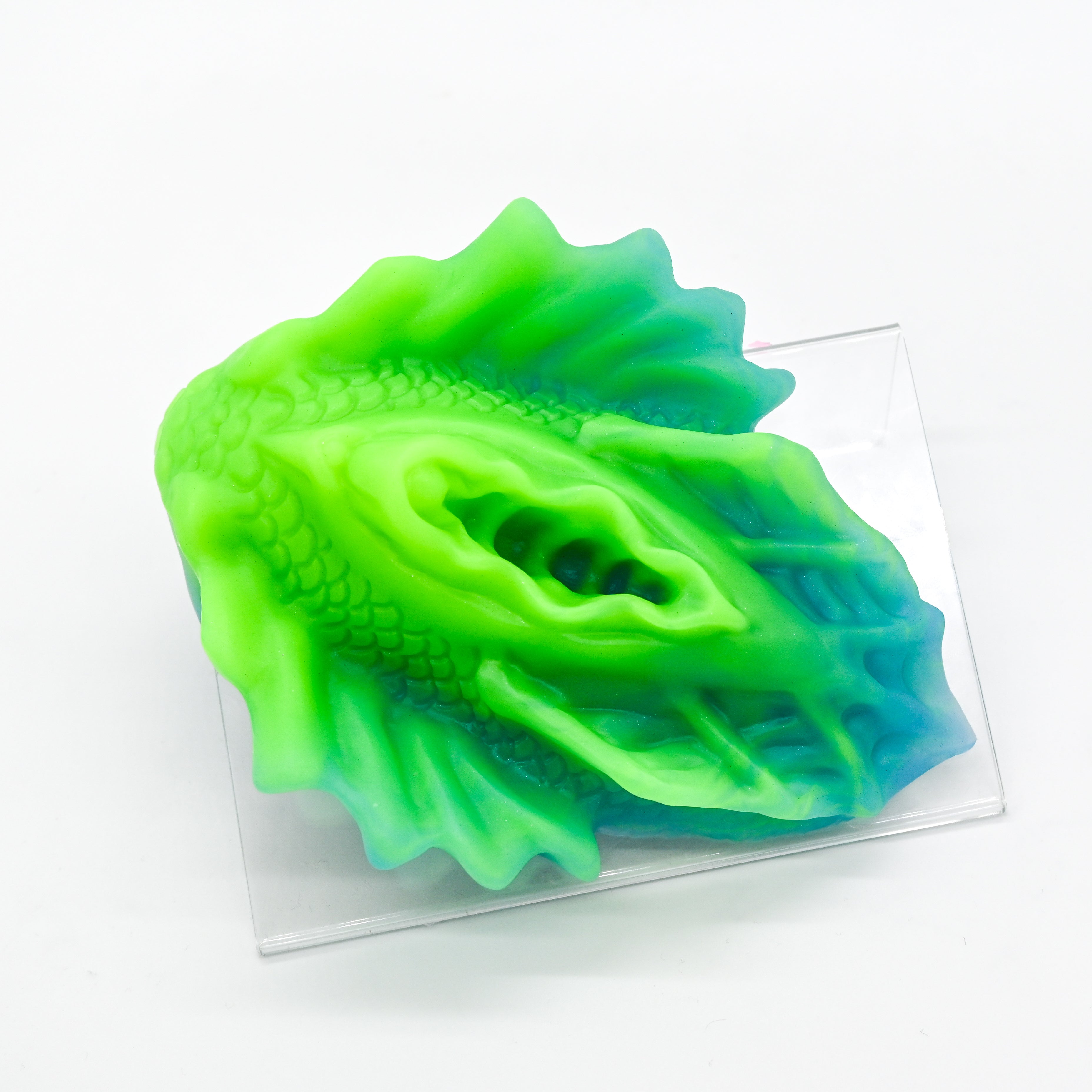 C4XJV41 Calypso Large 0020 UV GITD