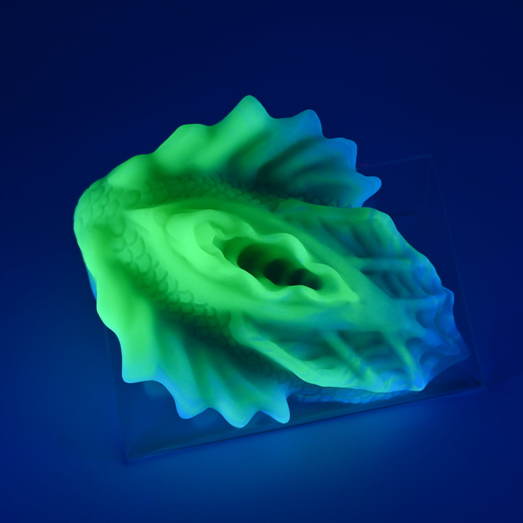 C4XJV41 Calypso Large 0020 UV GITD