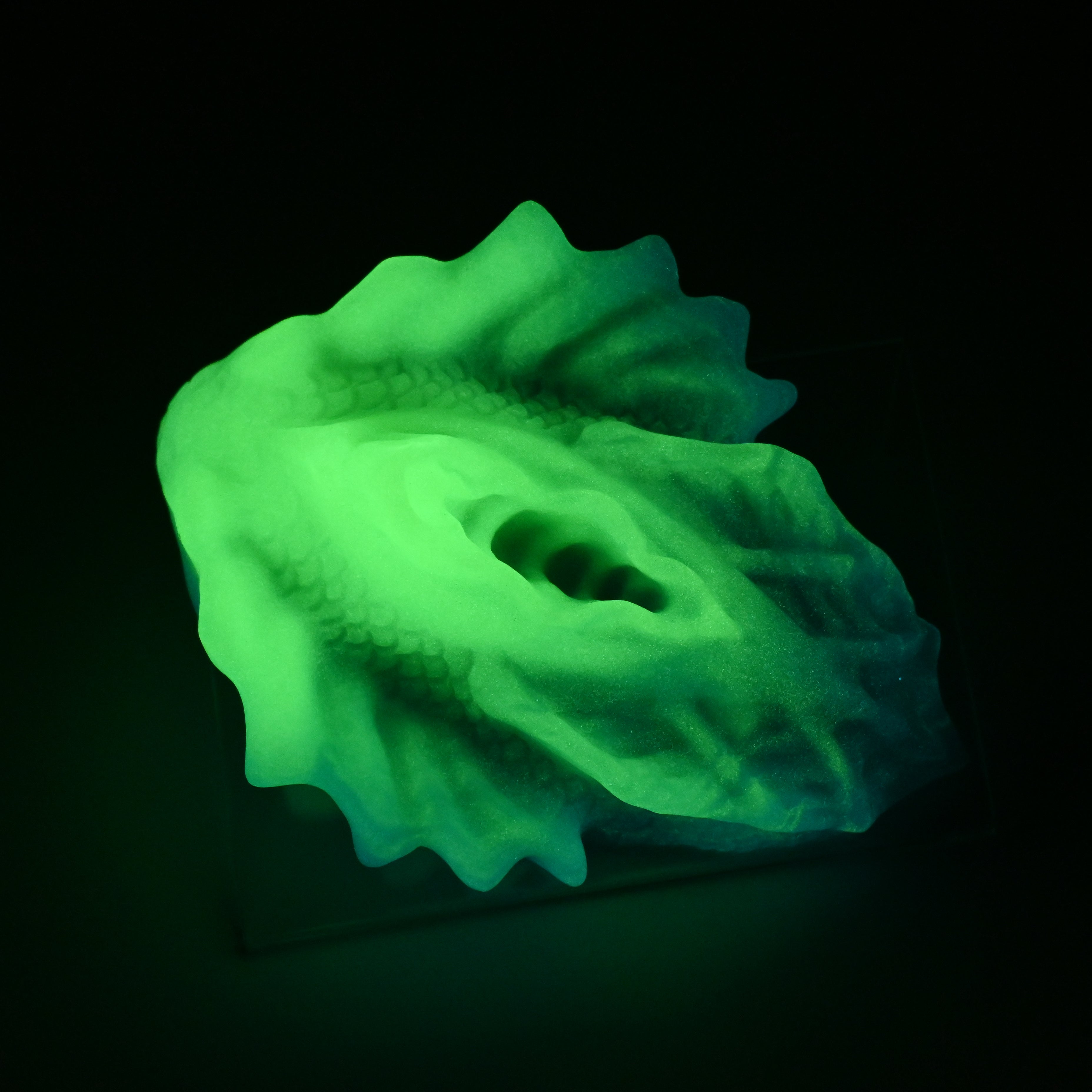 C4XJV41 Calypso Large 0020 UV GITD