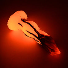 Load image into Gallery viewer, 64MHR81^ Hellion Large 0050 UV GITD GHPA
