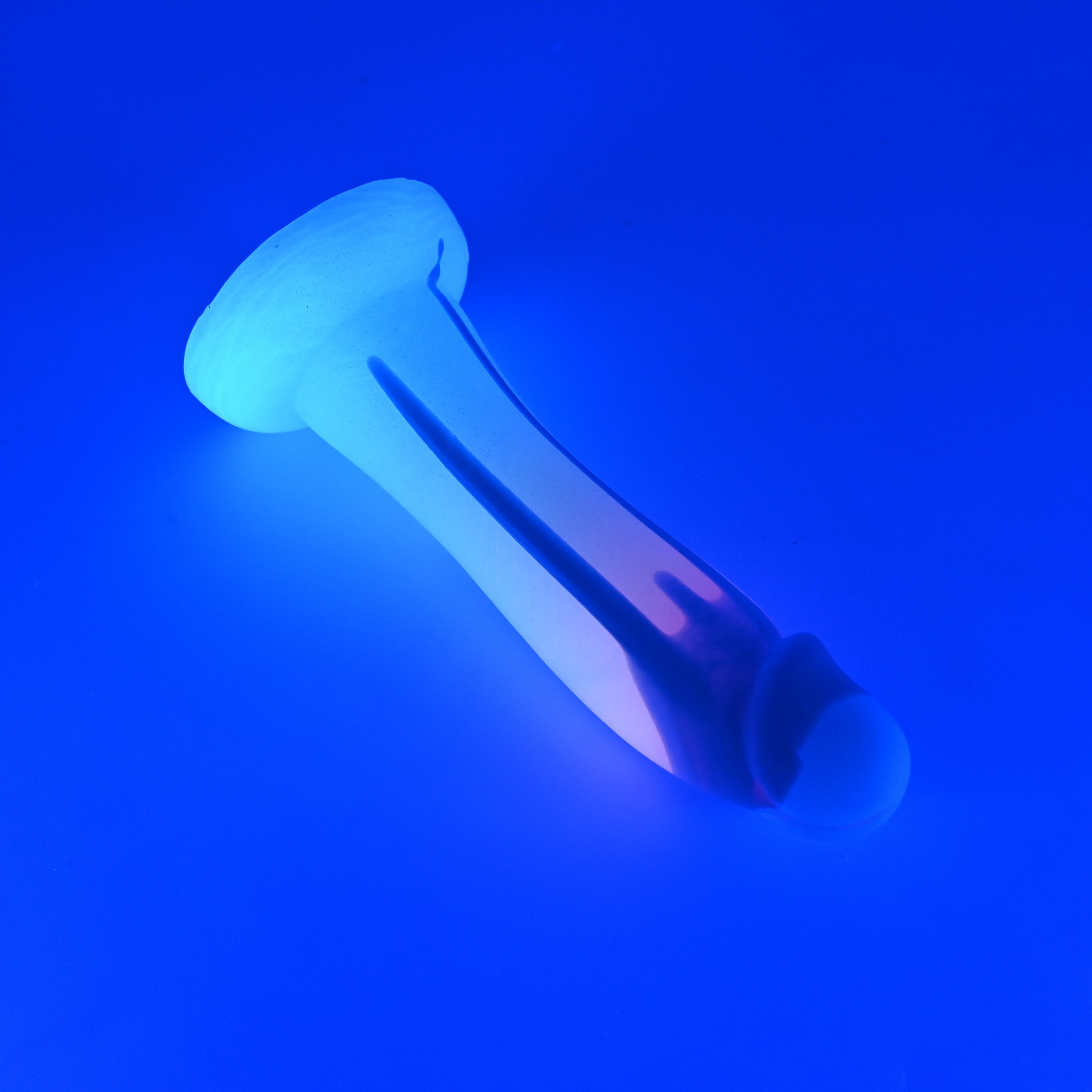Z2SJW46 Caelus Small 0030 UV GITD