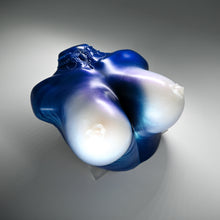 Load image into Gallery viewer, D4XHR97 Celeste Large 0020 CS
