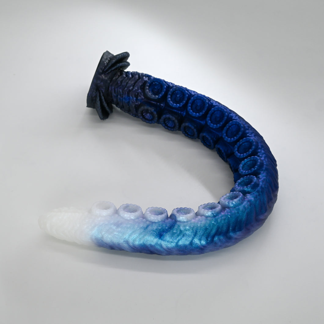 E4XHS01 Illex Large 0020 CS