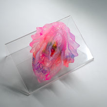 Load image into Gallery viewer, C2THT46 Calypso Small NC 0031 UV CS
