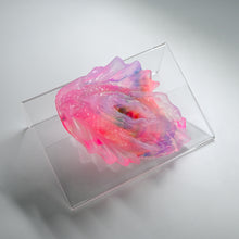 Load image into Gallery viewer, C2THT46 Calypso Small NC 0031 UV CS
