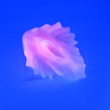 Load image into Gallery viewer, C4SHT47 Calypso Large 0030 UV GITD
