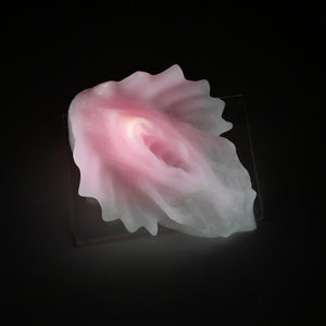 C4SHT47 Calypso Large 0030 UV GITD