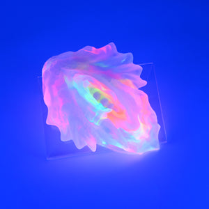 C4THT48 Calypso Large NC 0031 UV CS