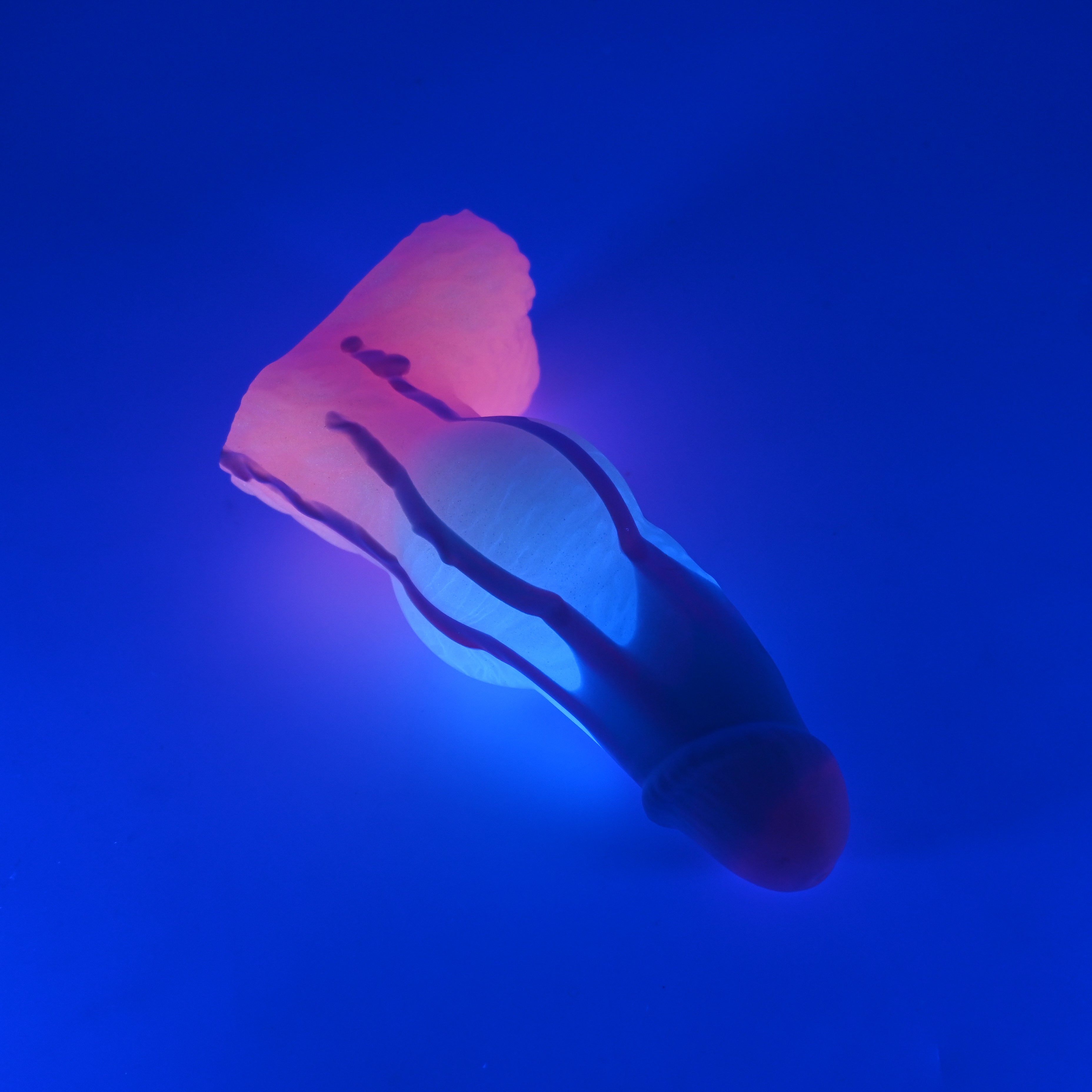 52SJU72 Jacob Small 0030 UV GITD