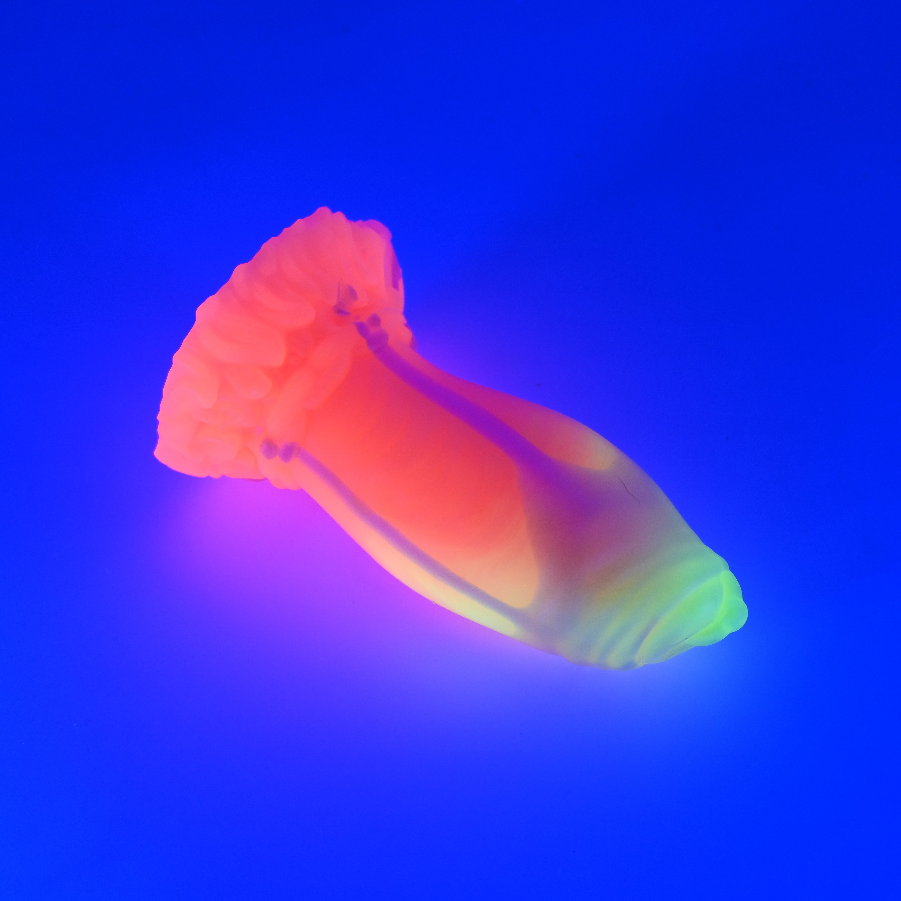 82SJV04 Hue Small 0030 UV CS