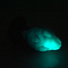 Load image into Gallery viewer, F4SDN99 Dragonfruit Plug Large 0030 UV GITD CS
