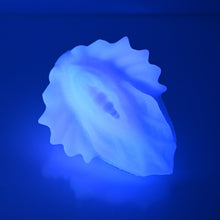 Load image into Gallery viewer, C2SDQ23 Calypso Small 0030 UV GITD
