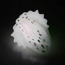 Load image into Gallery viewer, C2SDQ24 Calypso Small 0030 UV GITD
