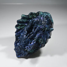 Load image into Gallery viewer, C2MDQ29 Calypso Small 0050 UV GITD
