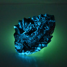 Load image into Gallery viewer, C2MDQ29 Calypso Small 0050 UV GITD
