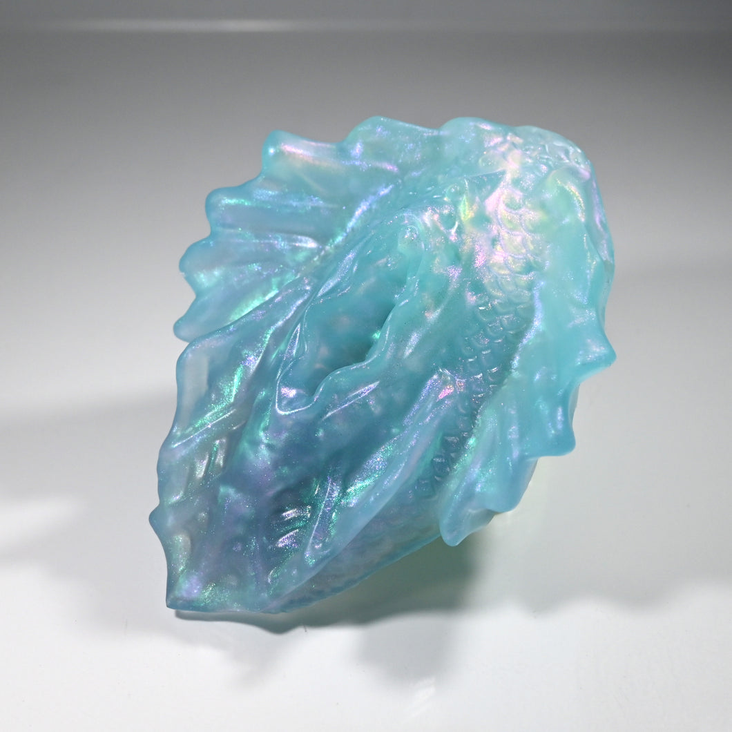 C2TDQ22 Calypso Small NC 0031 UV CS