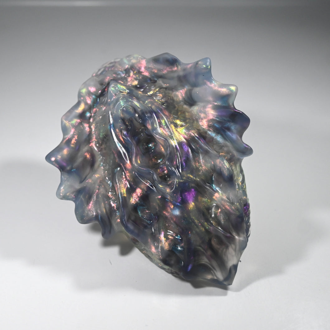 C2TDQ27 Calypso Small NC 0031 CS