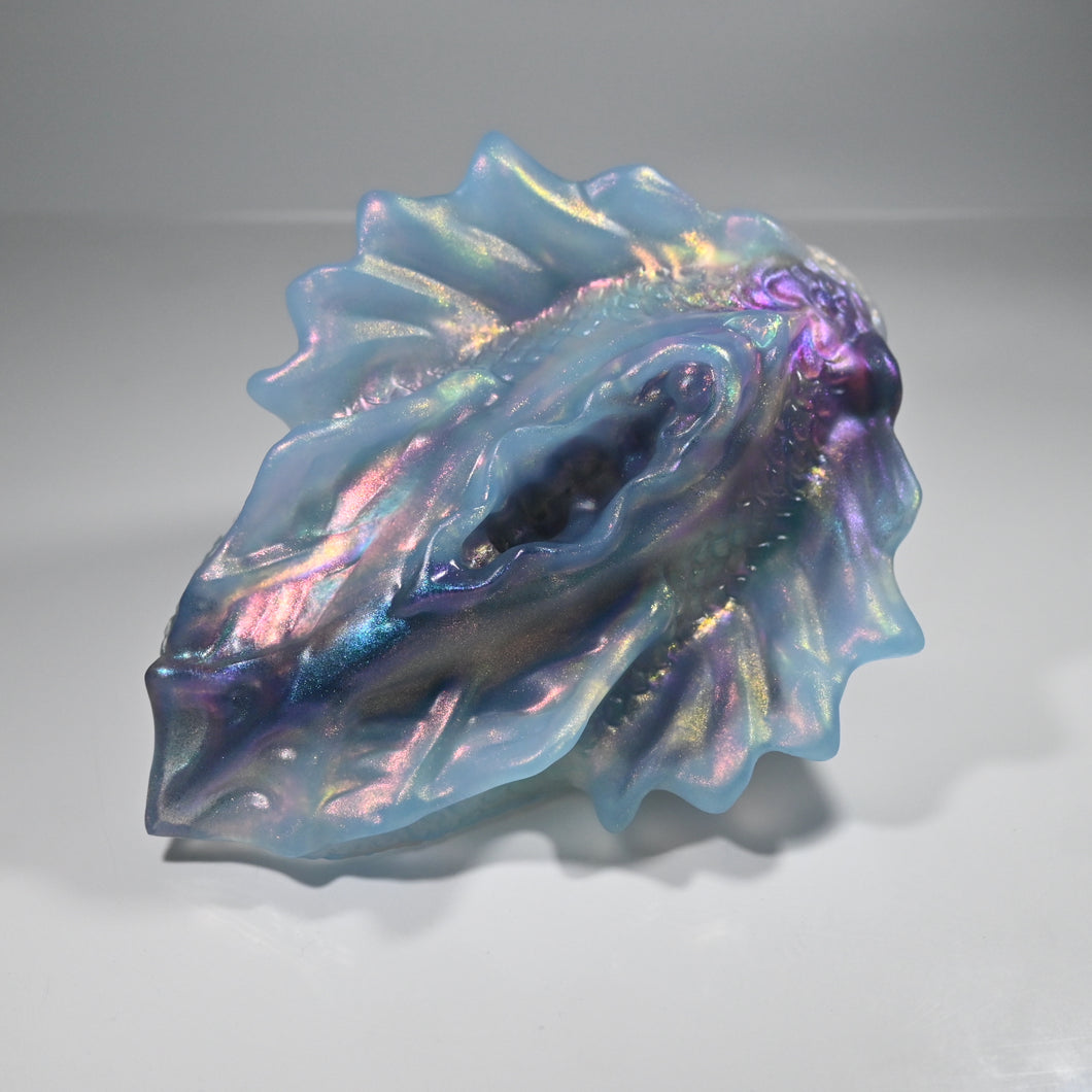 C4TDQ31 Calypso Large NC 0031 CS