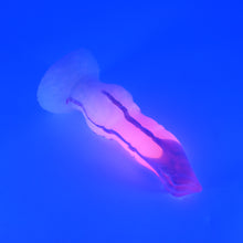 Load image into Gallery viewer, 62SHT16 Hellion Small 0030 UV GITD
