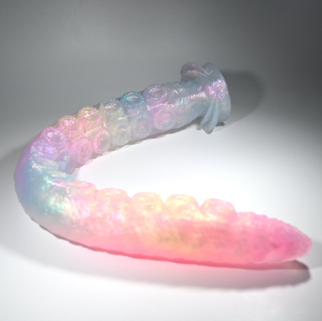 E4TFQ67 Illex Large NC 0031 CS