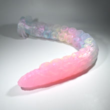 Load image into Gallery viewer, E4TFQ67 Illex Large NC 0031 CS
