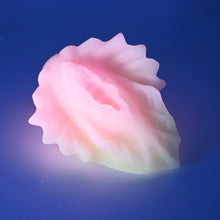 Load image into Gallery viewer, C2SFS23 Calypso Small 0030 UV GITD
