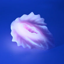 Load image into Gallery viewer, C2SFS24 Calypso Small 0030 UV GITD
