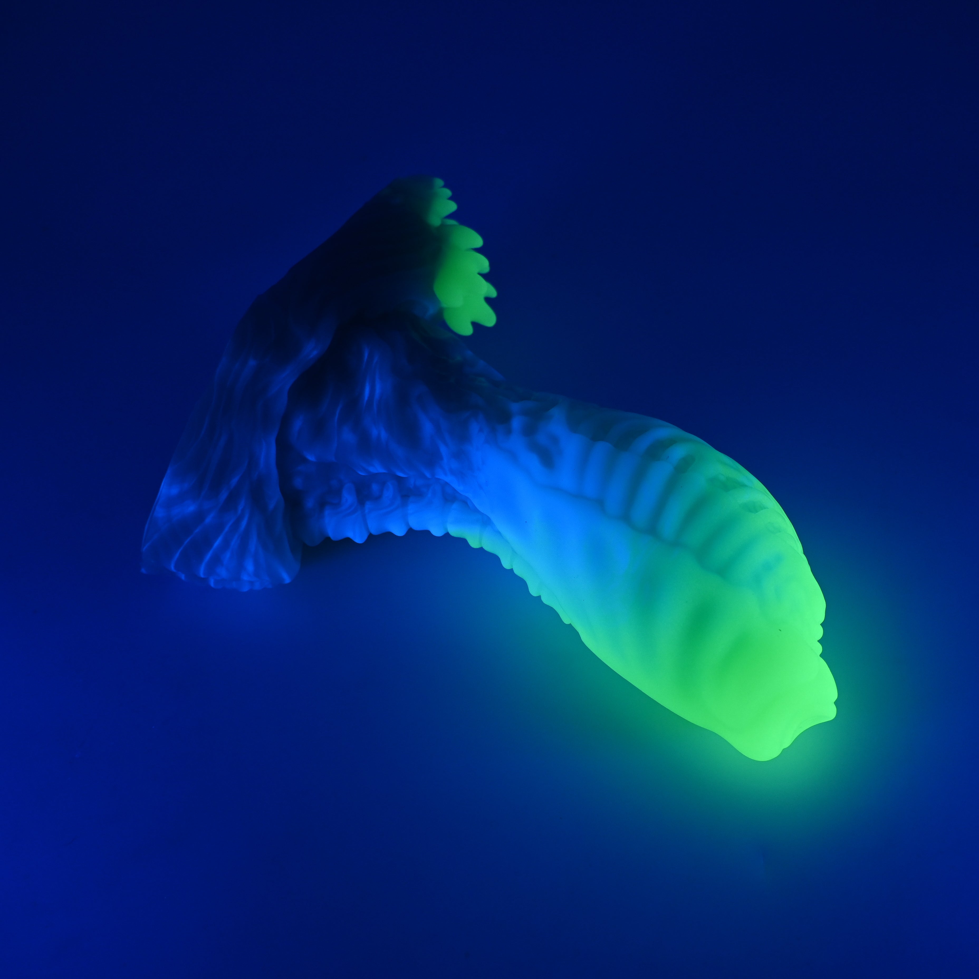 X3XJW44 Shin Medium 0020 UV GITD *FLOP*