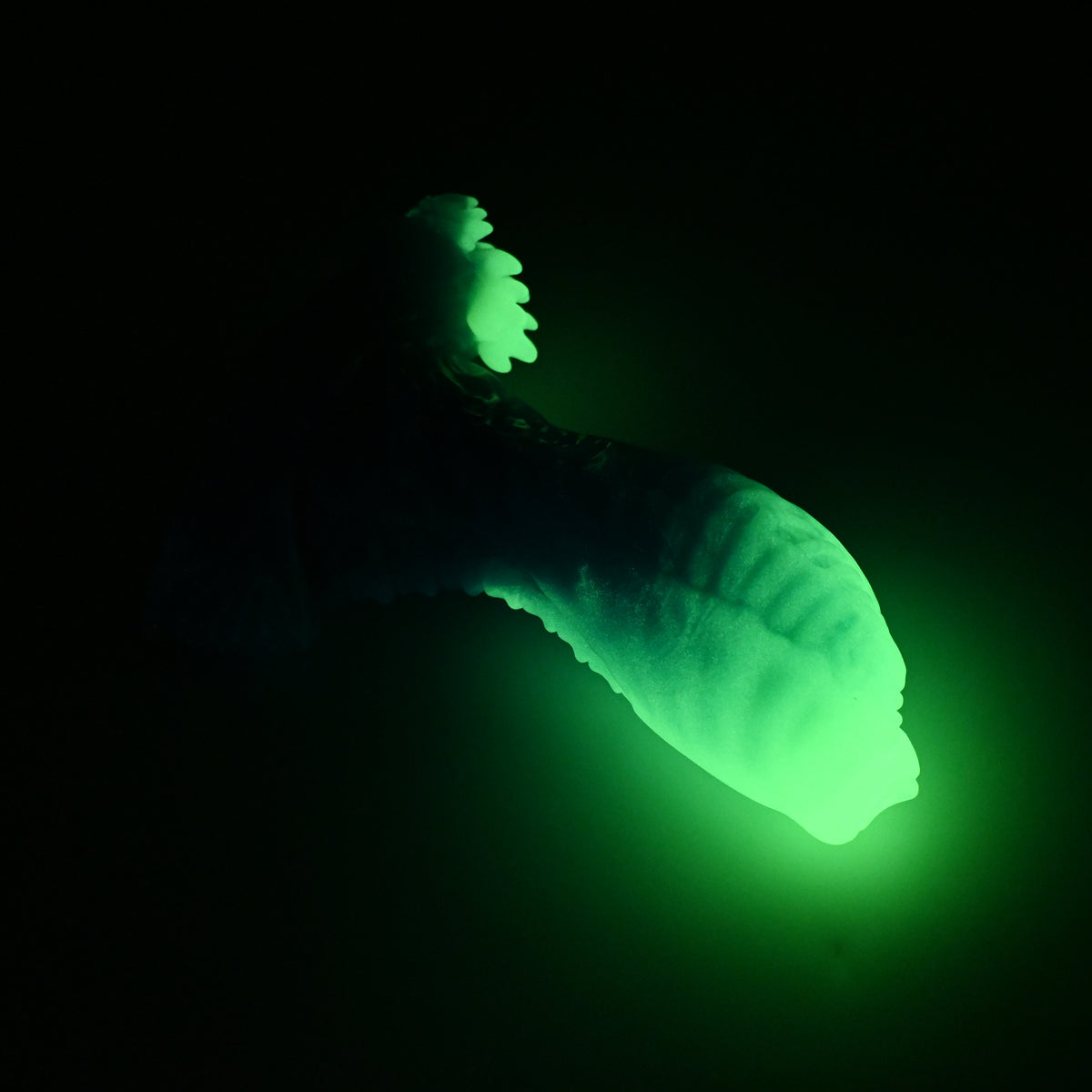 X3XJW44 Shin Medium 0020 UV GITD *FLOP*