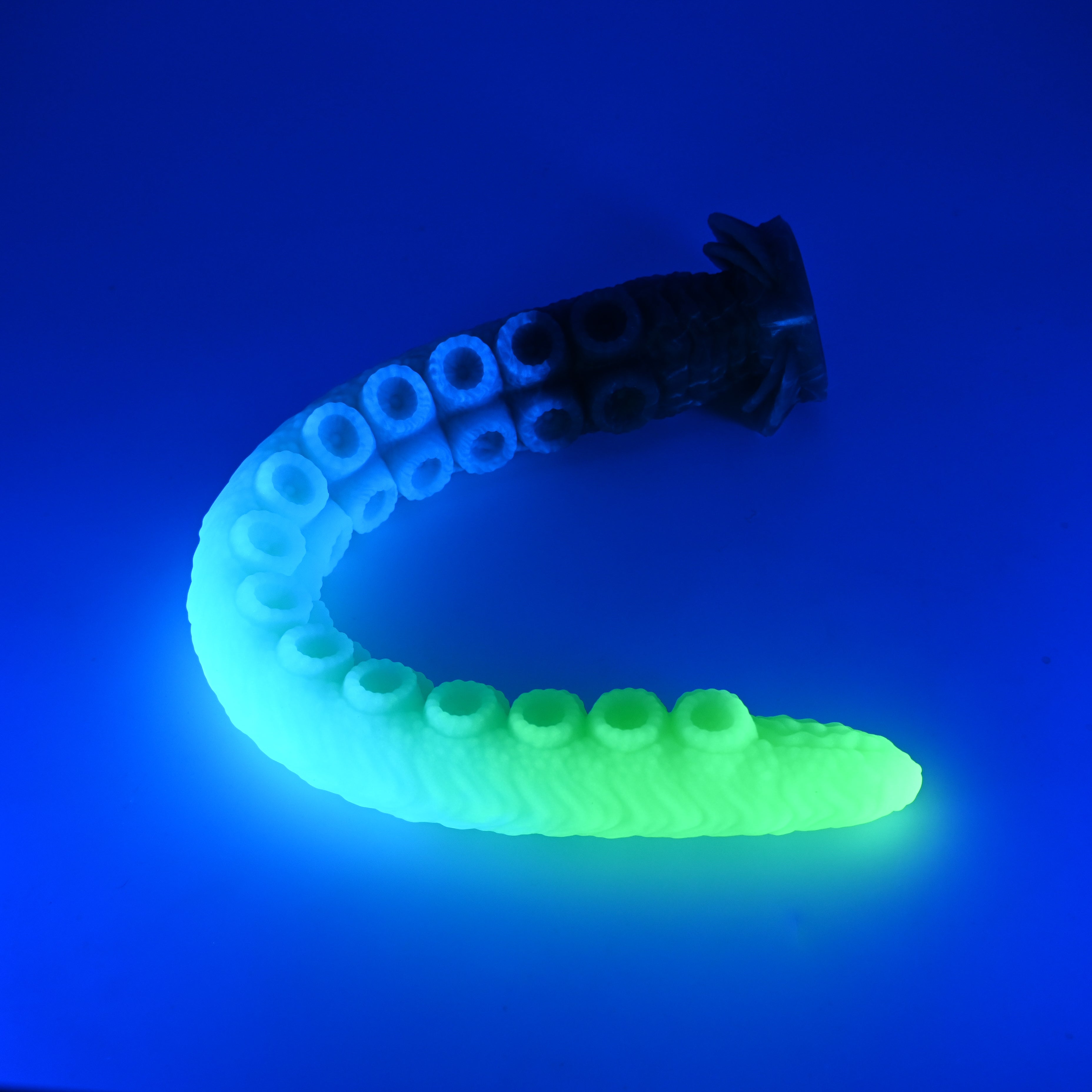 E4MJV44 Illex Large 0050 UV GITD