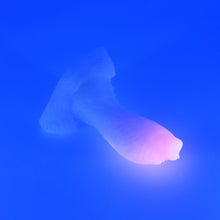 Load image into Gallery viewer, X2SHU30 Shin Small 0030 UV GITD
